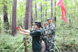 这个“全球老虎🐯日”超有意义！为东北虎保护“发声”图片