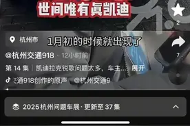 丑态百出，2025年各地315问题车展盘点图片