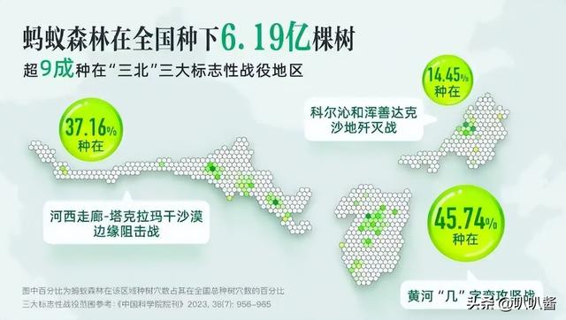 马云斥巨资在沙漠里种树，承诺每年1亿棵，10年过去了，情况如何