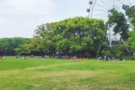 家门口就能露营！假期来这两个公园搭帐篷吧～图片