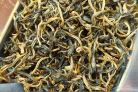 广东有一款红茶，为什么叫英红九号？图片