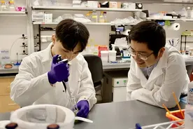 最小纳米气泡能用于医学成像，有望改变超声造影和药物递送图片