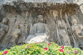 洛阳各县区综合实力排名大揭秘，背后原因居然是这些！图片