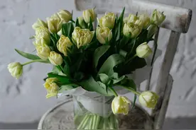 余华说：为什么00后是得天独厚的一代人？答案就藏在这件小事里！图片