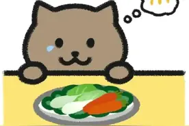 690万网友围观胖猫生活，爆其私生活混乱，谭竹剧本道歉被封号图片