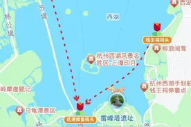 太子湾郁金香花展妇女节上线图片