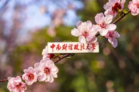 中南财经政法大学，为什么没恢复“湖北大学”名号？图片