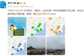 23℃→2℃，或有霜冻！青岛气温坐上“过山车”，清明假期天气……图片