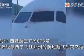 西藏航空一航班起飞后突然返航，驾驶舱风挡玻璃疑有血渍图片
