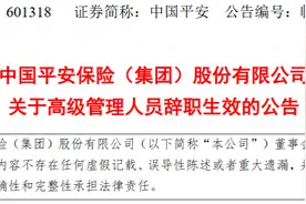 陈心颖辞任中国平安联席首席执行官兼常务副总经理职务，转任公司非执行董事图片