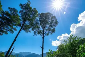 沉住气你就赢了一半！事缓自然成，定住心才能定乾坤图片