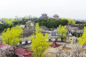 来上党小城 踏春山赏花~图片