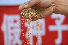 农民自留种子被指控违法，社会不公现象引发关注图片