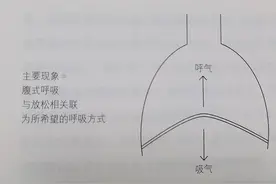 腹式呼吸和胸式呼吸有很大的区别，腹式呼吸才是我们的目标图片