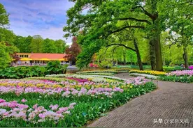 白居易最经典29首诗词，句句令人陶醉，你会背几首？图片