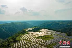 甘肃庆阳：“驭风沐光”催绿变 电网升级纳新能图片