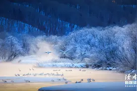 成年人最体面的拒绝，叫“不回复”图片