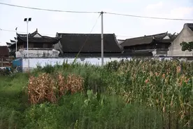 我们的家园 村歌：美丽的禾家桥||奉化禾家桥村：悠悠乡情 芬芳古村图片