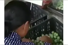 中国第三座迪士尼，在成都？图片