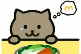 胖猫事件到底告诉了我们什么，为什么那么多网友自发祭奠？图片