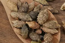 老祖宗小偏方：鼻炎，用中药磨粉敷鼻子！图片