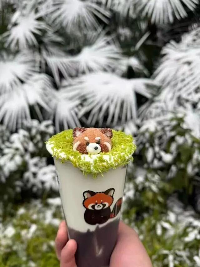 来都来了，就别空手走了！