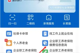 手把手教你异地养老保险如何转移，“重复月份的个人部分可退费”图片