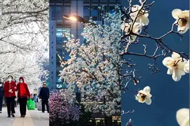 春日浪漫！长治花花花 “上分”图片