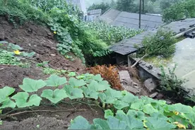 “汛”速行动 | 主动避险撤离及时 綦江成功预警处置一起滑塌灾情图片