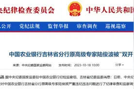 ​陆俊波，被“双开”！图片