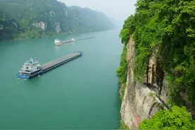 湖北恩施村民被送精神病院，背后原因引发关注图片