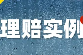 100元的学平险，理赔的时候还真能起大作用！图片
