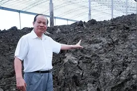 广西大叔养4000头牛却不卖，仅靠牛粪身价上亿，他是如何做到的？图片