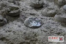 “水晶”恐龙蛋化石你见过吗？十堰青龙山恐龙蛋化石遗址又有新发现图片