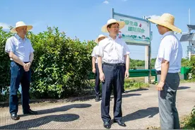 本周，武汉都市圈八市书记市长在忙这些事图片