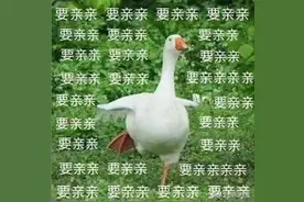 我们寝室立了新规矩，脏话用“亲亲”取代图片