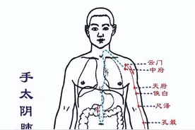 经络串讲——手太阴肺经图片