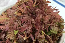 炒香椿前，万不可下锅焯水！还好及时知道，否则香味全无，钱白花图片