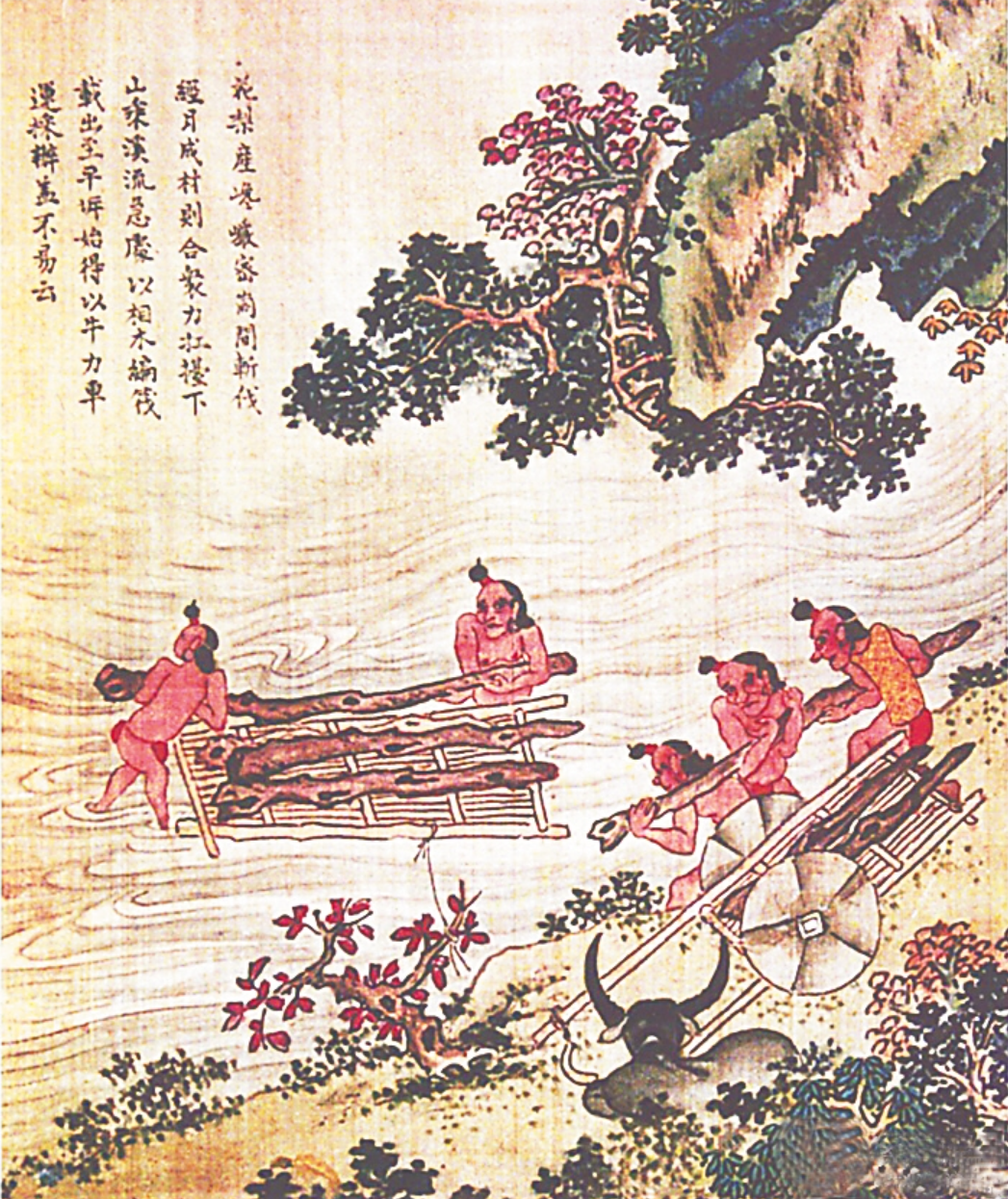 同為貴木,為何黃花梨比紫檀價高一籌? 同為貴木,為何黃花梨比紫檀價高一籌?