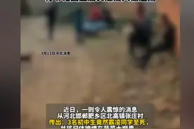 太可怕！河北三名初中生杀害同学并掩埋在菜棚，村书记回应来了！图片