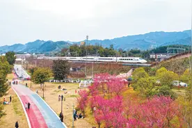 梁平7地上榜《公园里的春天——2025年重庆市城市公园春季赏花指南》图片