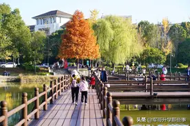 别再争什么中坚九校，其实考生早已把985高校分成了三大类图片