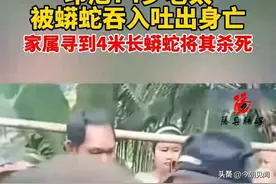 太可怕！印尼七旬老太被蟒蛇活吞又吐出，家属当场砍蛇报仇雪恨图片