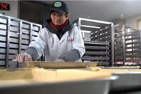 膘鸡：年夜饭上“头道菜” 全国美味“独一份”图片