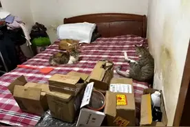 北京一住户家中恶臭难掩，邻居出门踩到“屎”！上诉后法院这样判图片
