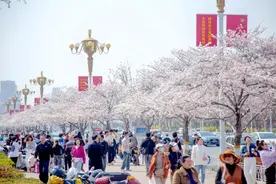 这趟旅游列车本月开通！途经潍坊，指南来了→图片