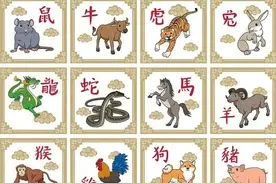 十二生肖对应的动画片！图片