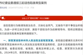 因丈夫儿子涉嫌刑事犯罪被查，女子恶意诬告办案刑警被拘10天，安阳通报3起诬告陷害典型案例图片