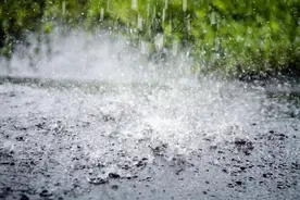 医生提醒：下雨趟水后，当心这些皮肤病找上门图片