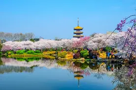 明天就去！邂逅花海、拥抱春天，湖北早春赏花地图来了！图片